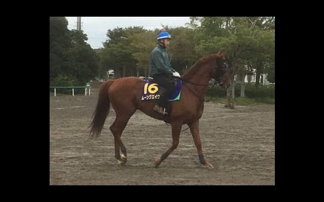 【スプリンターズS】ムーンクエイク 藤沢和師「今度は違うと思うよ」