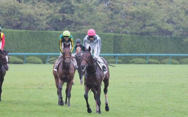 【阪神2歳新馬】武豊「1番乗りやすい」ゴータイミングが差し切り勝ち