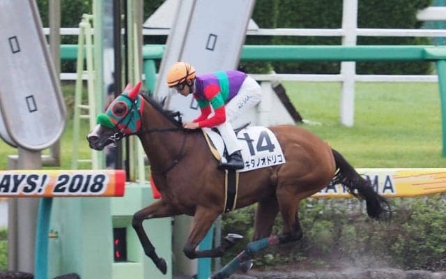 【中山1R/2歳未勝利】キタノオドリコがラスト流して完勝！圧倒的人気に応える