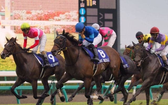 【スプリンターズS】ファインニードルが春秋スプリントG1制覇