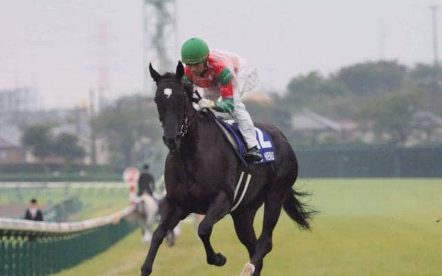 【スプリンターズS】モレイラ「馬場のせいなのか…」関係者コメント