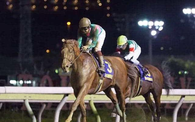 【日本テレビ盃】ケイティブレイブは5枠6番 枠順確定