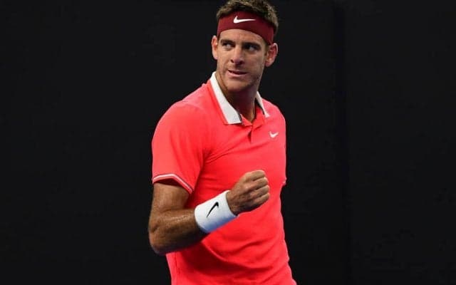 デル ポトロが5年ぶり5回目の「Nitto ATPファイナルズ」出場権獲得。