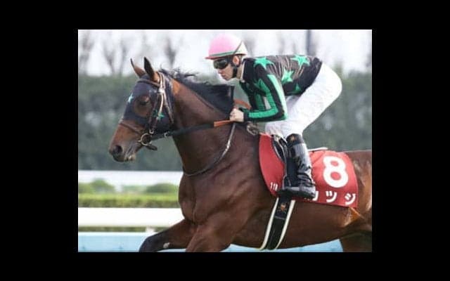 毎日王冠でＧＩ馬は消し。穴党記者が陣営の熱気を察知した３頭が怖い