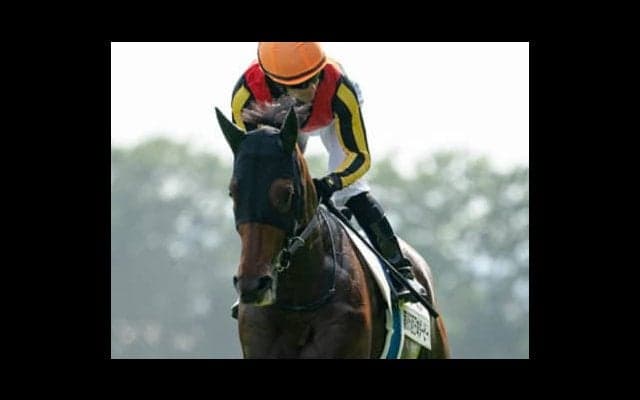 アエロリットが目標になる毎日王冠。逆転候補は決め手ある「３歳馬」