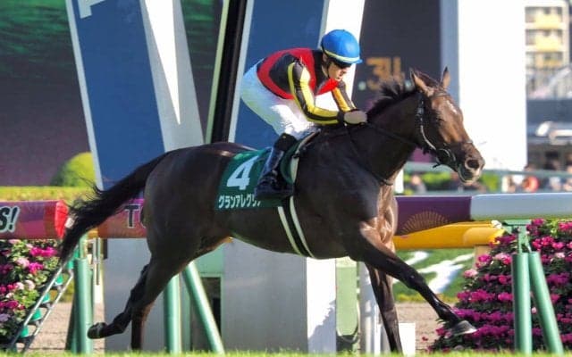 【サウジアラビアRC】豪快な出遅れも圧勝！グランアレグリアが力の違いを見せる