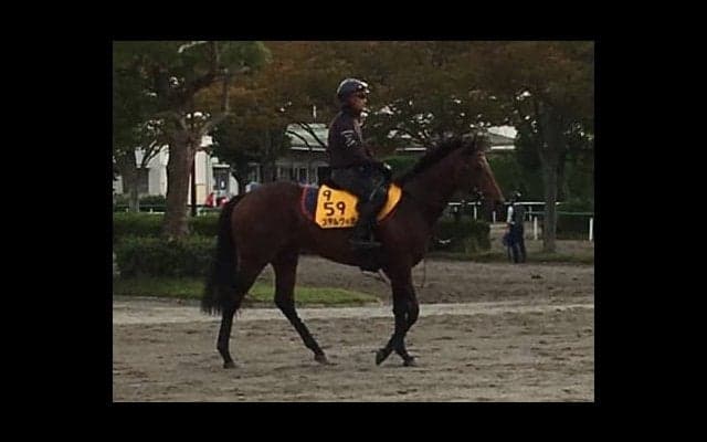 【毎日王冠】ステルヴィオ 得意の1800なら古馬でも通用