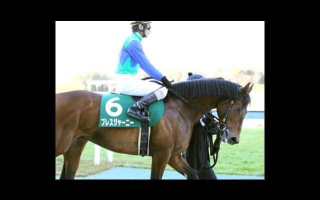 京都大賞典は、この舞台で覚醒しそうな重賞「常連馬３頭」を狙い撃ち