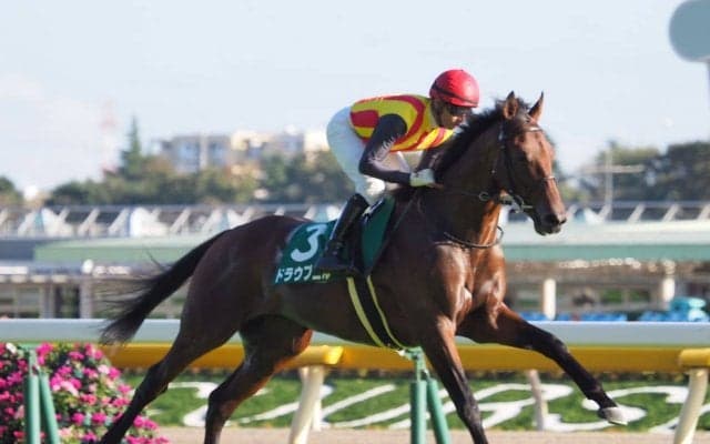 【サウジアラビアRC】モレイラ「スムーズに走れませんでした」ジョッキーコメント