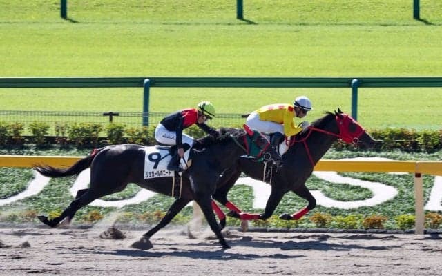 【東京1R/2歳未勝利】圧倒的人気のオリオンパッチが逃げ切る！2着馬と熾烈な追い比べ