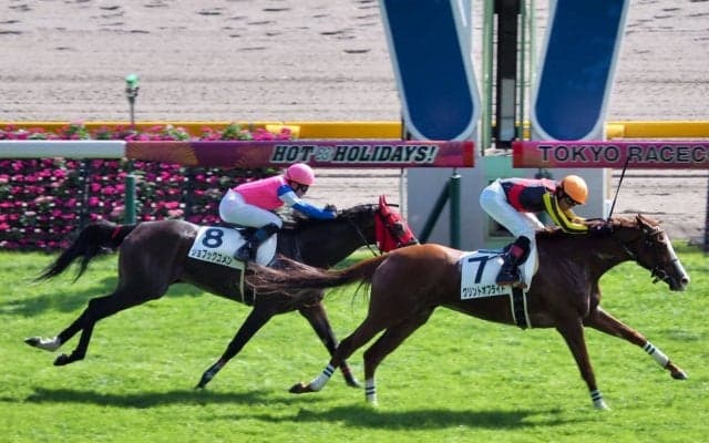 【東京6R/3歳上500万下】グリントオブライトが人気に応える！欽ちゃん所有ジョブックコメンは惜しい2着