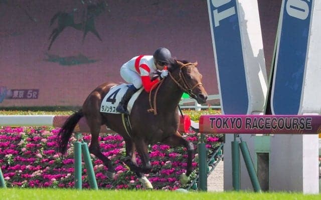 【東京5R/2歳新馬】ダノンラスターが快勝！たけし命名キタノインパクトは4着