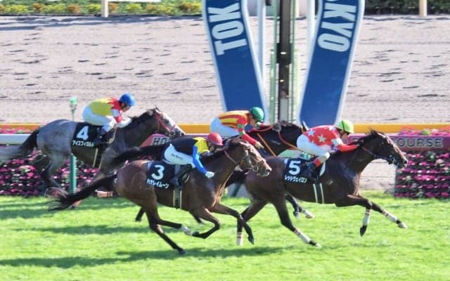 【鷹巣山特別】レッドヴェイロンが圧倒的人気にこたえる！ゴール前強襲