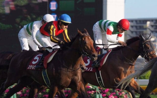 【毎日王冠】ステルヴィオ鋭く追い込むも2着！ルメール「勝った馬が強かった」