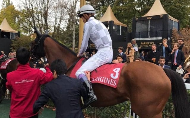 【仏オペラ賞】武豊ラルク13着敗退 ワイルドイリュージョンが優勝