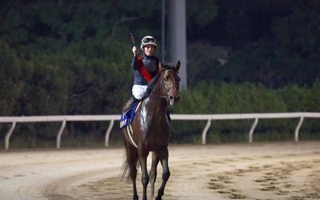 【南部杯】ゴールドドリーム5枠7番、ルヴァンスレーヴ7枠12番 世代交代なるか！？