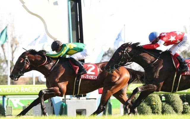 【京都大賞典】サトノダイヤモンド復活！約1年半振りの勝利