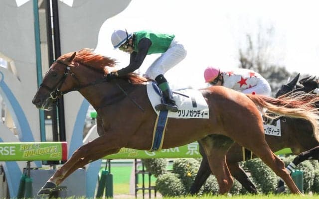 【京都5R/2歳新馬】クリノガウディーがゴール前差し切り！母ブエナビスタのタンタラスは9着大敗