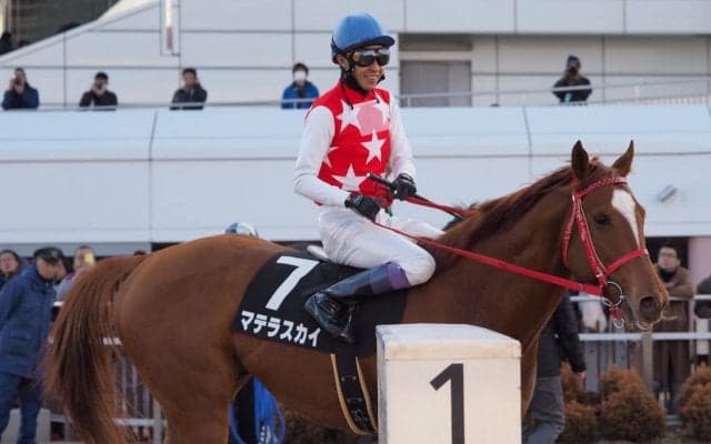 【東京盃】枠順と見どころ マテラスカイのスピードが1枚抜けているか