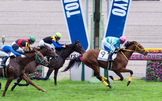 【東京1R/2歳未勝利】ジャスタウェイ産駒 サンディレクション逃げ切り！