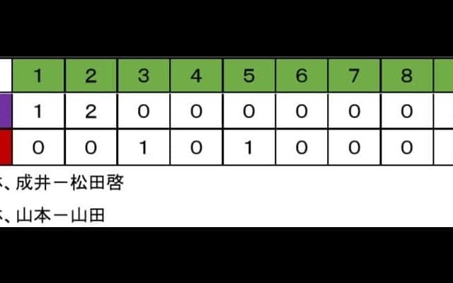 【軟式野球部】平林４勝目！東日本に望み繋げる