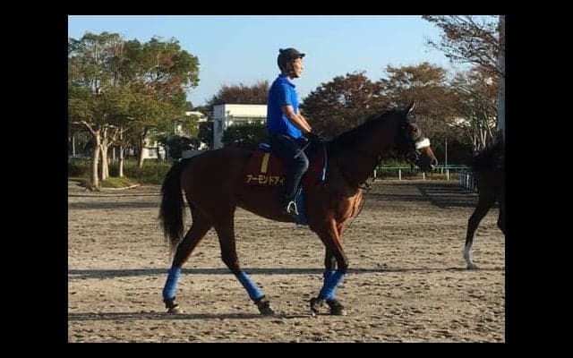 【秋華賞】アーモンドアイ 国枝師「ひと夏を越しての成長も感じます」