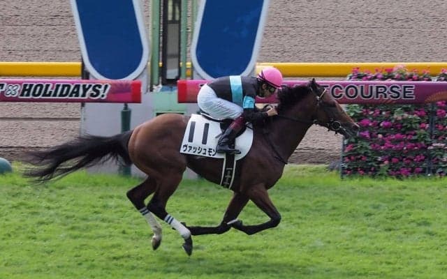 【東京1R/2歳未勝利】ヴァッシュモンが圧倒的人気に応える