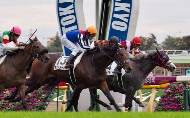 【東京4R/2歳新馬】オルフェーヴル産駒 ラストヌードルが差し切り！