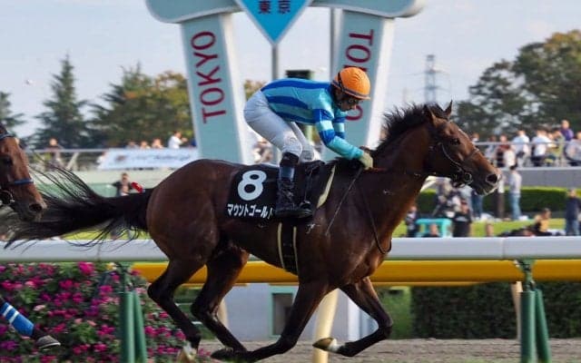 【オクトーバーS】マウントゴールドが逃げ切り！内田博幸が巧みにレースをコントロール