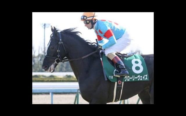 穴馬候補は５頭。菊花賞で台頭する伏兵馬のパターンは決まっている