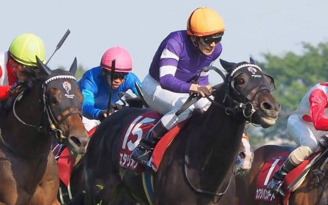 【菊花賞】枠順と見どころ エタリオウは5枠9番