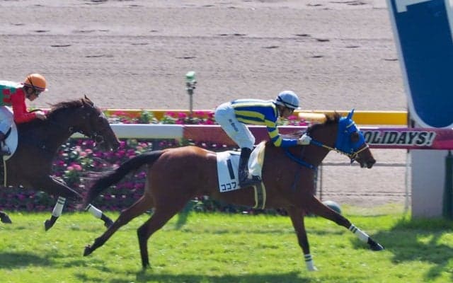 【東京3R/2歳未勝利】ココフィーユが圧倒的人気に応える！父にロードカナロア産駒