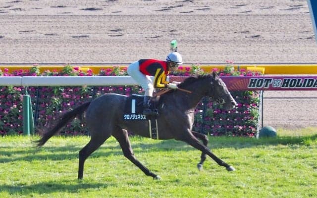 【アイビーS】クロノジェネシスが楽々抜け出してデビュー2連勝！