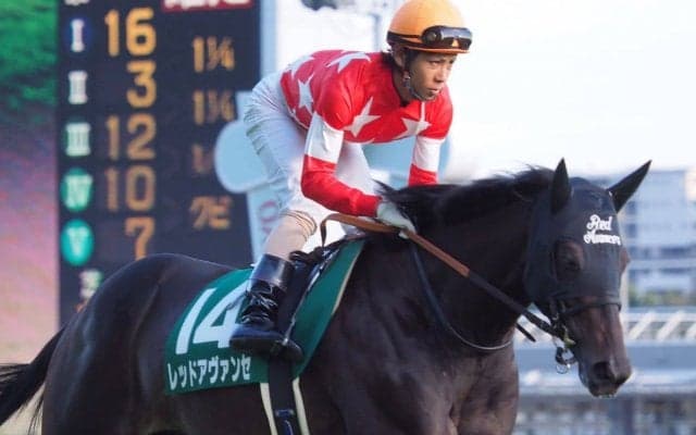 【富士S】レッドアヴァンセが見せ場十分の3着！強豪牡馬と互角に渡り合う