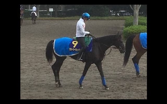 【菊花賞】グローリーヴェイズ 古馬を破った勢いでG1タイトルへ挑む