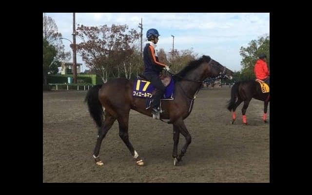 【菊花賞】フィエールマン 絶好調ルメール騎乗で魅力十分