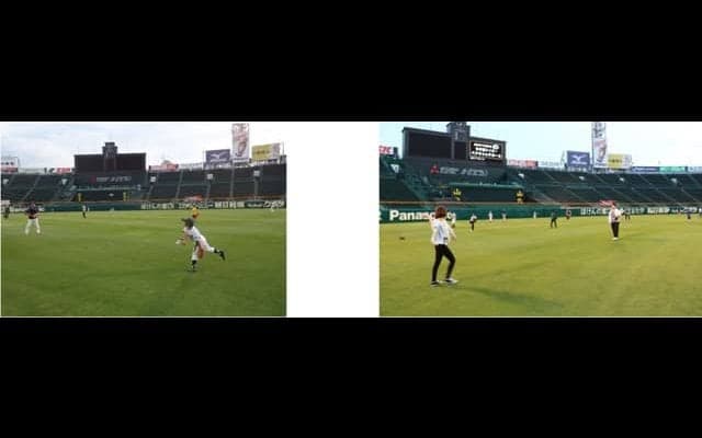 スタジアムツアー特別イベント「甲子園球場でキャッチボールをしよう！」11月開催