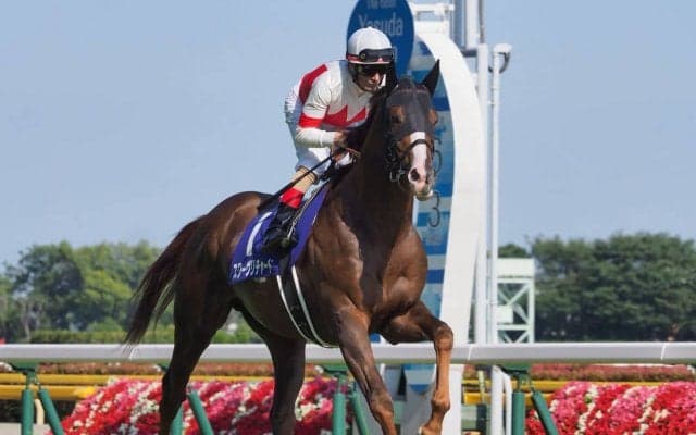 【天皇賞(秋)】登録馬と見どころ スワーヴリチャード レイデオロなど