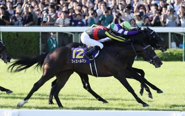 【菊花賞】またしてもルメール！神騎乗でフィエールマンがハナ差の勝利
