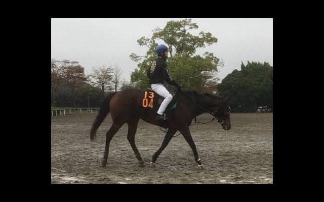 【アルテミスS】ミリオンドリームス 藤沢和師「レースがとても上手」