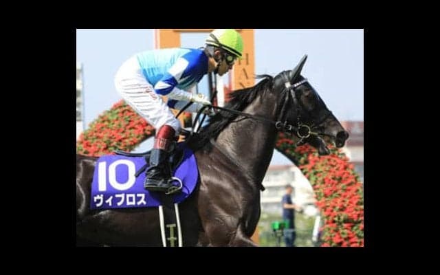 豪華絢爛の天皇賞・秋。人気の盲点となる３頭が身も心も温めてくれる