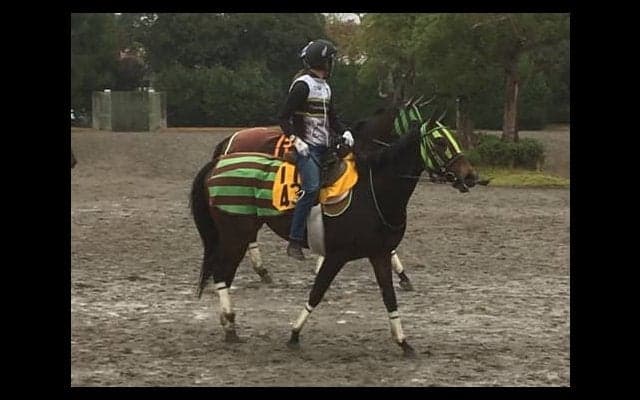 【スワンS】デアレガーロ 大竹師「1400mがちょうどいい」