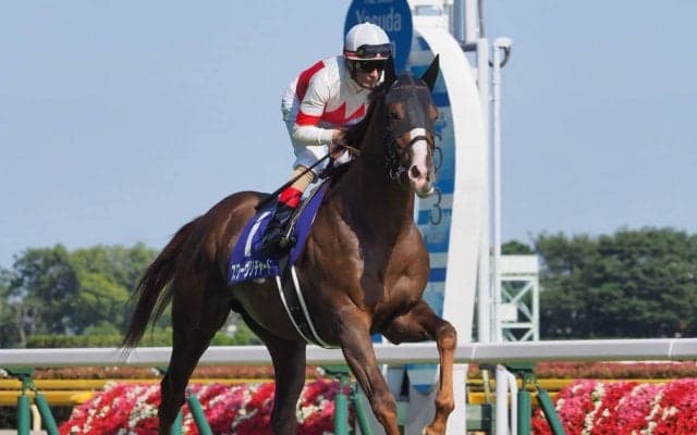 【天皇賞・秋】枠順と見どころ スワーヴリチャードは4枠5番