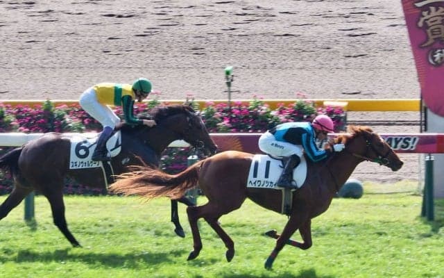 【東京2R】ヘイワノツカイが33.1のキレ味！差し切りV