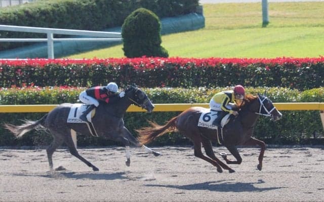 単勝131倍 ワイルドトレイダーが差し切りV！ホウオウモントレーは2着
