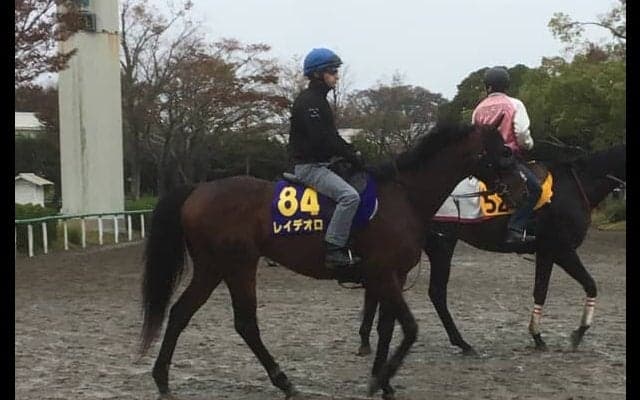 【天皇賞・秋】レイデオロ 藤沢和師「ヤル気十分ですよ」