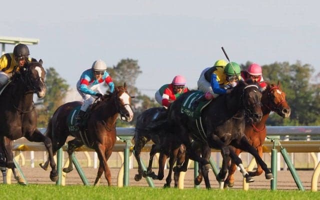 【アルテミスS】藤岡康「勝ちに行った分の差」レース後 ジョッキーコメント