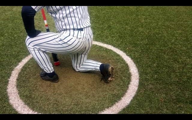 福良監督は「綾鷹」、ロッテ福浦は「ブラックブラック」、ノムさんは…プロ野球人の「お口の友」を探る