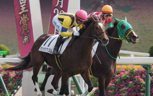 【東京3R】モレイラ 戸崎の追い比べ！マジックリアリズムが抜け出す