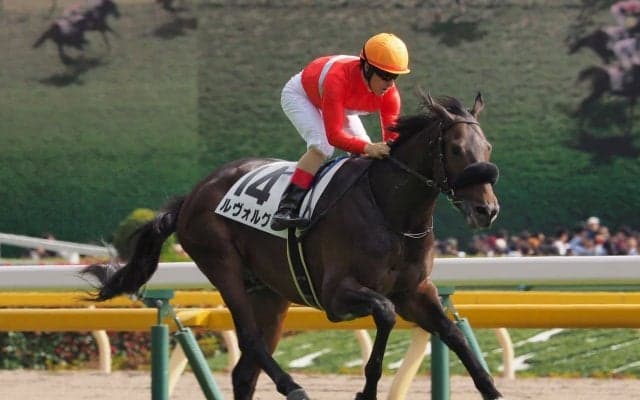 【東京5R/新馬戦】ディープインパクト産駒 ルヴォルグが完勝！